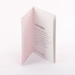 seni-seviyorum-anne2