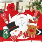 yeni-yil-catal-kasik-kilifi2