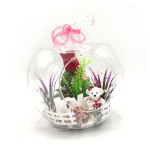 love-ayicikli-teraryum