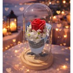 cam-fanus-icinde-isikli-gul4