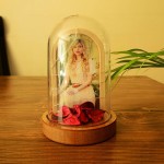 isikli-fanus-fotograf-cercevesi