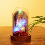 isikli-fanus-fotograf-cercevesi2