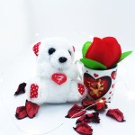 ayicikli-fincan-gul2