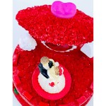 dans-eden-cift-muzik-kutusu3