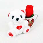 kucuk-kupada-gulveayicik