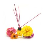 mango-cubuklu-oda-kokusu2