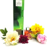 yagmur-ormani-cubuklu-oda-kokusu6