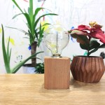 kup-ahsap-masa-lambasi3