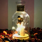 isikli-sarilam-cift-cam-fanus2