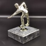 en-iyi-bilardo-odulu