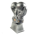 kisiye-ozel-yilin-boksoru-odul2