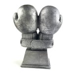 kisiye-ozel-yilin-boksoru-odul4