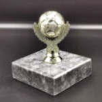 altin-top-odul-kupa2