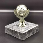 altin-top-odul-kupa2