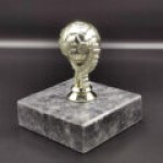 altin-top-odul-kupa3