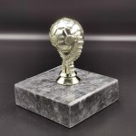 altin-top-odul-kupa3