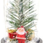 fanus-icinde-noel-baba2