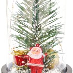 fanus-icinde-noel-baba2