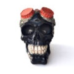 Gozluklu Kuru Kafa On