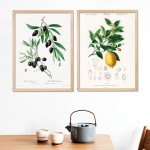 Limon ve Zeytin Dali Cerceve Ham