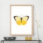 Sari Kelebek Dekoratif Cerceve Dogal