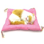 minderde-uyuyan-kedi-sesli