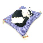 minderde-uyuyan-kedi-sesli5