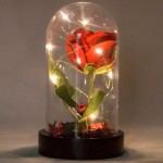 fanus-icinde-isikli-gul3