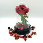 fanus-icinde-isikli-gul5