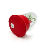 isikli-sevigli-biblosu-fanus5