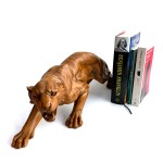 kaplan-biblo-desenli6