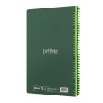 harry-potter-slytherin-defter2