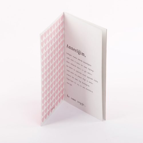 seni-seviyorum-anne2