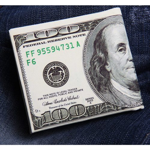 Yırtılmaz Dolar Cüzdan