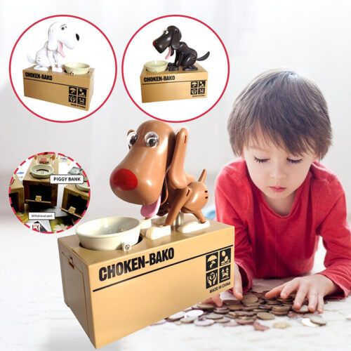 kopek-kumbara-egitici