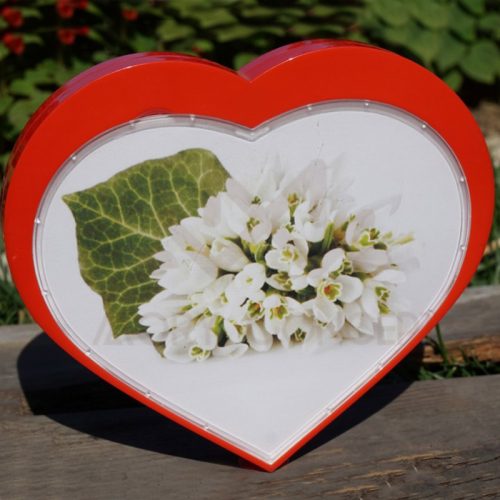 muzikli-kalpli-cerceve2