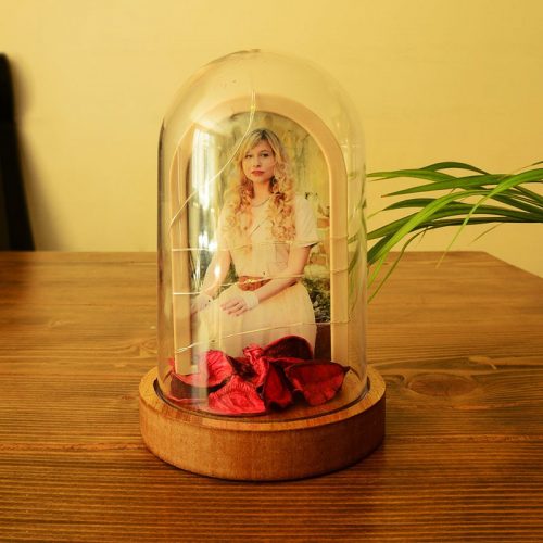 Işıklı Fanus Çerçeve