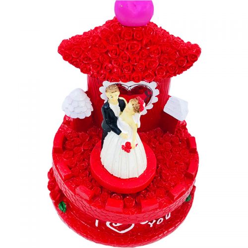 dans-eden-cift-muzik-kutusu4