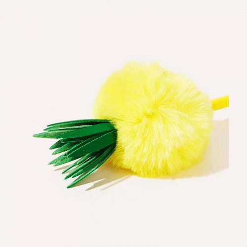 ananas-tukenmez-kalem2