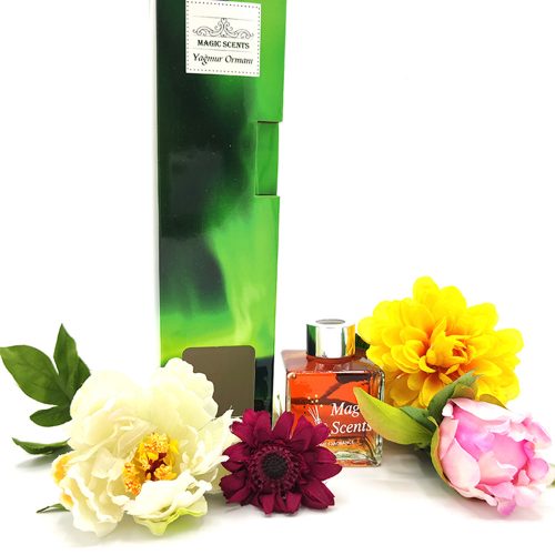 Yağmur Ormanı Çubuklu Oda Kokusu