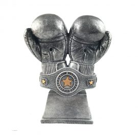 Kişiye Özel Yılın Boksörü Ödül Kupa