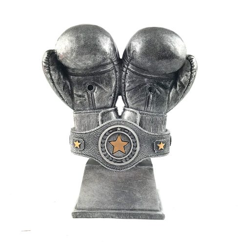 Kişiye Özel Yılın Boksörü Ödül Kupa