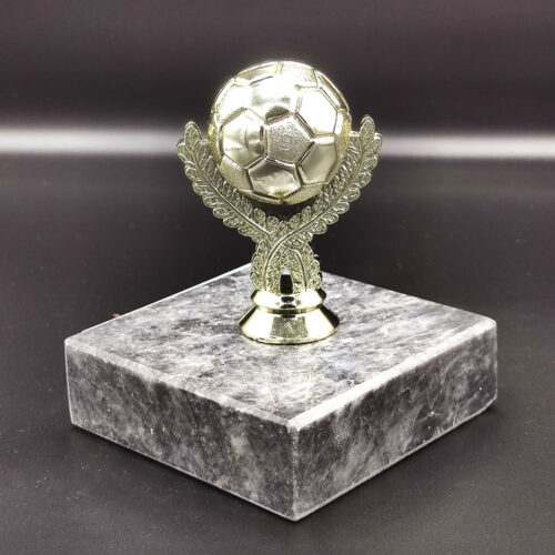 altin-top-odul-kupa2