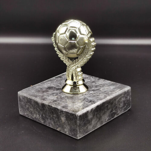 altin-top-odul-kupa4