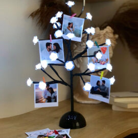 Işıklı Gül Ağacı