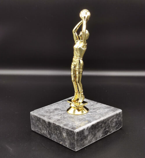 kisiye-ozel-voleybolcu-odul-kupa3