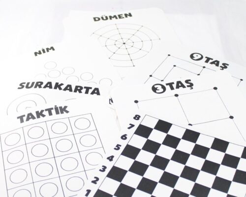 8cesit-zeka-veakil-oyunu