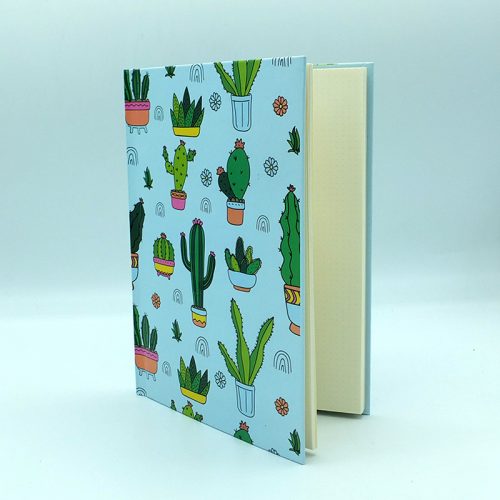 kaktus-kalem-defter3