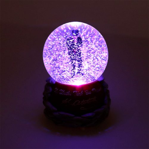 ataturk-kar-kuresi-muzik-kutusu3