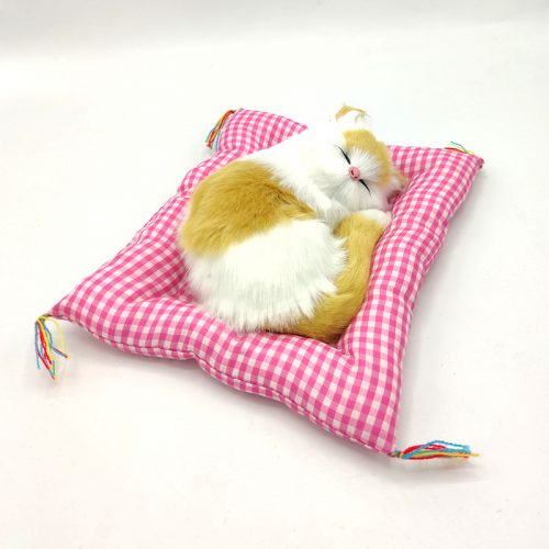 minderde-uyuyan-kedi